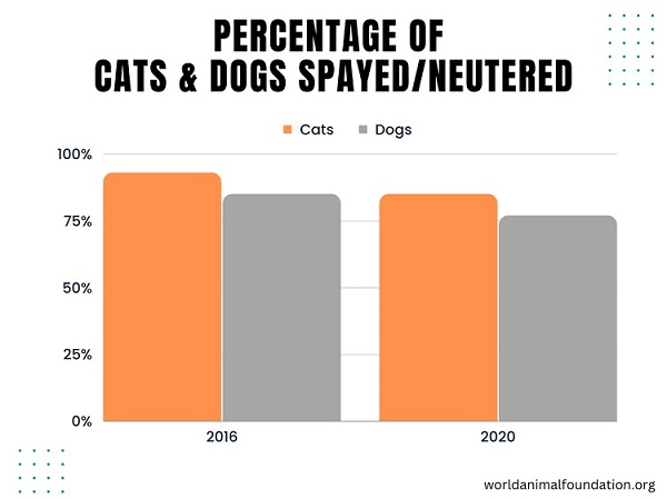 SpayNeuter Programs and Awareness statistics