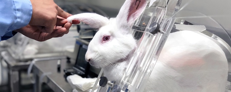 what does animal testing look like