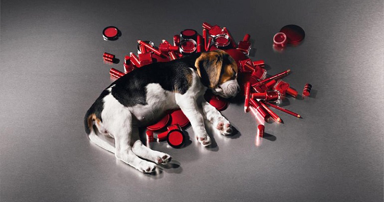 are-dogs-used-for-cosmetic-testing