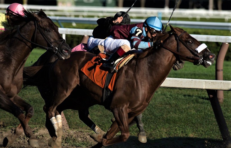 are the horses in the kentucky derby abused