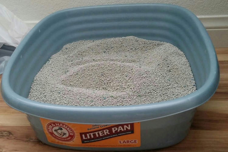 best clumping cat litter