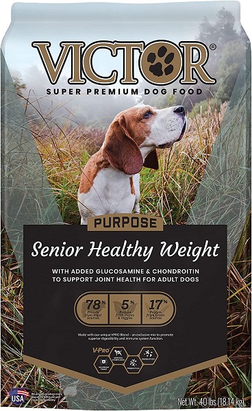 Best dog food 2024 for senior husky