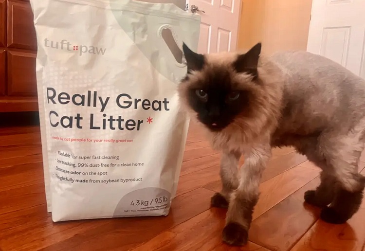 https://worldanimalfoundation.org/wp-content/uploads/2023/01/What-Makes-Tuft-Paw-Cat-Litter-Really-Great-review.jpg