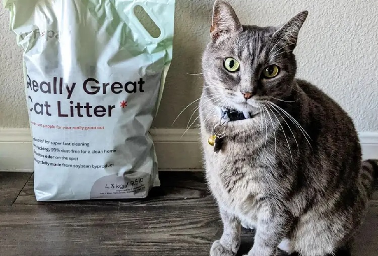 https://worldanimalfoundation.org/wp-content/uploads/2023/01/Where-Can-You-Buy-Tuft-Paws-Really-Great-Cat-Litter-revieww.jpg