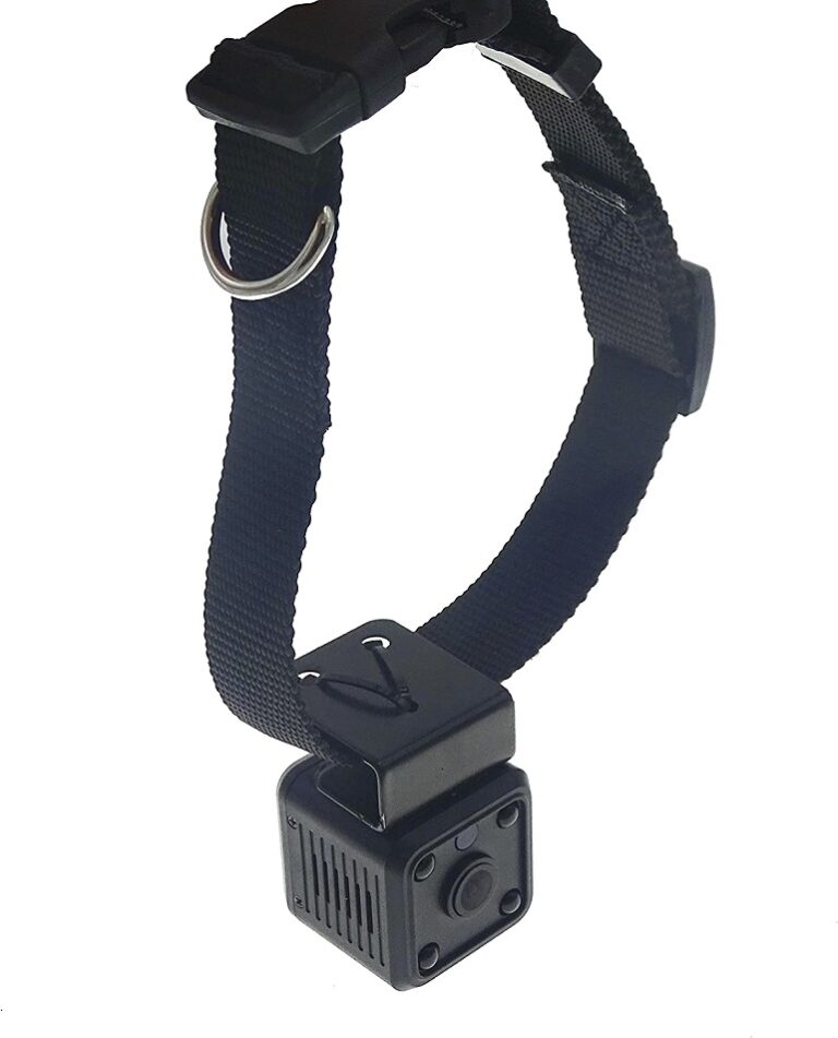 Best Cat Camera Collar See Life Through Your Cat’s Eyes!