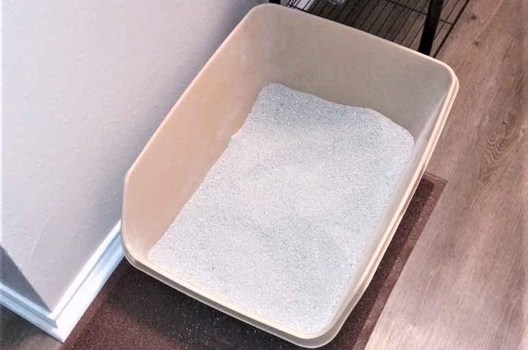 2 cat litter box