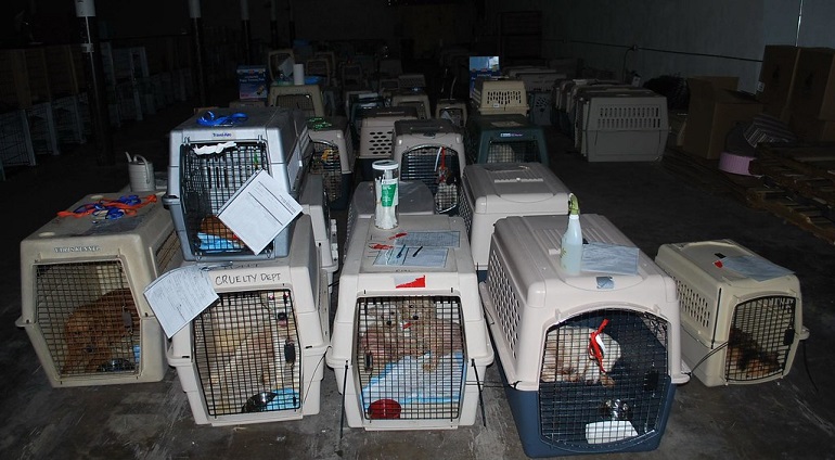 are puppy mills illegal in nj