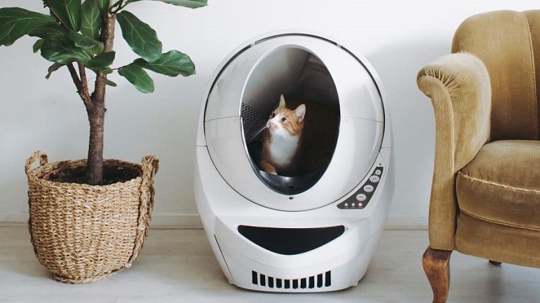 best automatic litter box