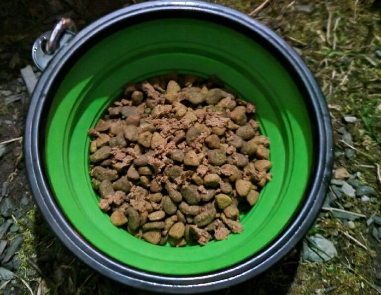 Best Dog Food For Huskies For A Healthy, Happy Pup