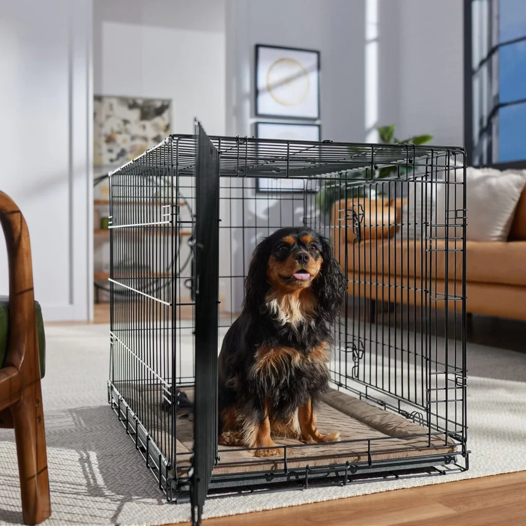 best flooring for indoor dog kennel