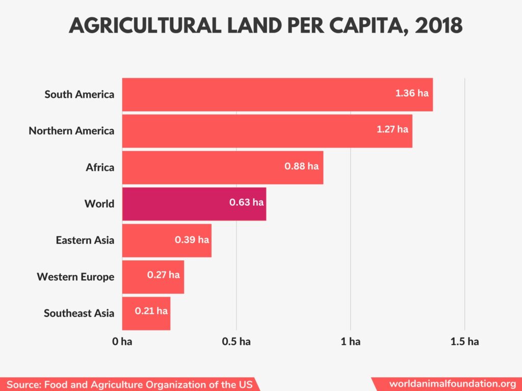 Ten countries of the world with the worst Deforestation rate of