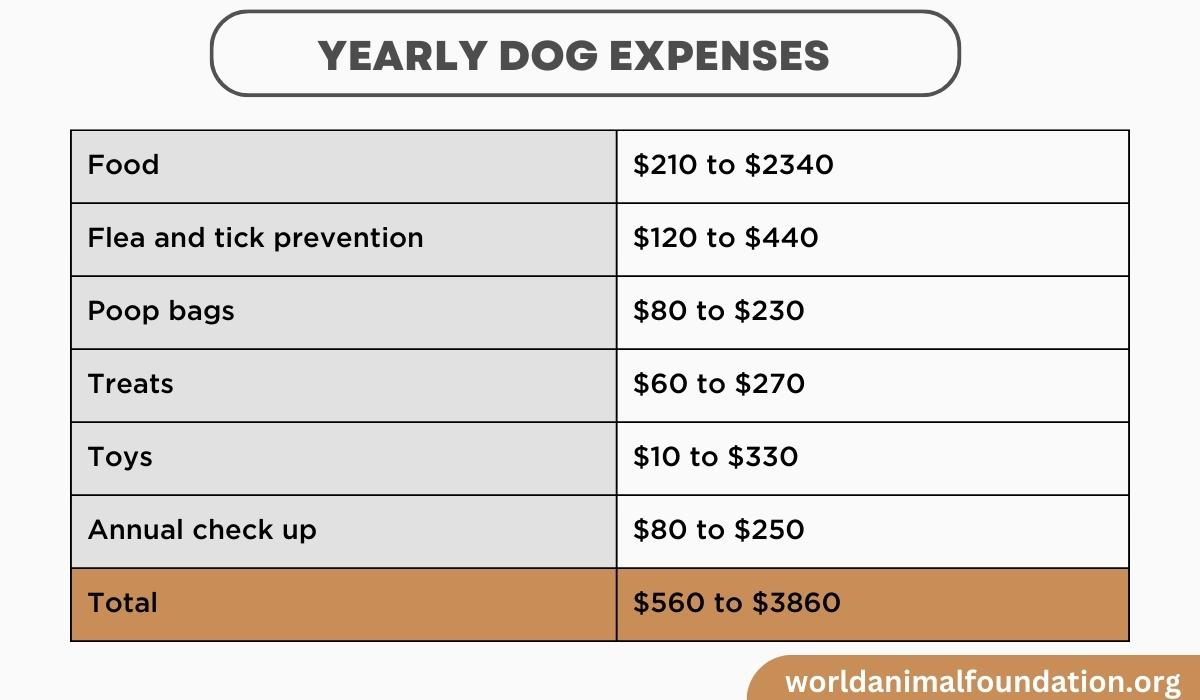 Investigating How Much Does It Cost To Own A Dog In 2023