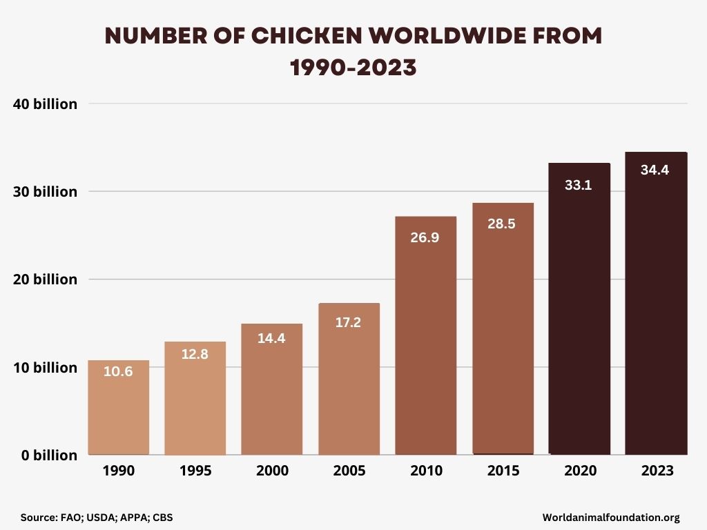 chicken world population