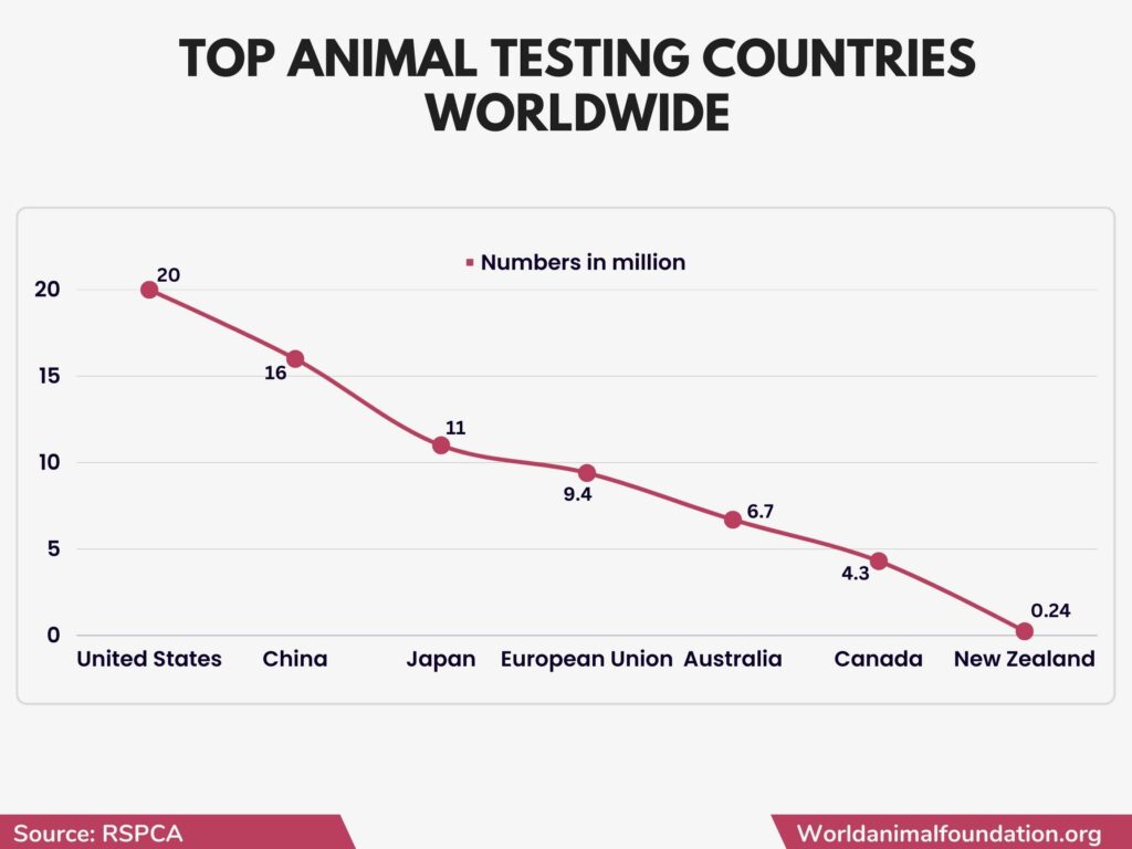 animal testing cruelty facts