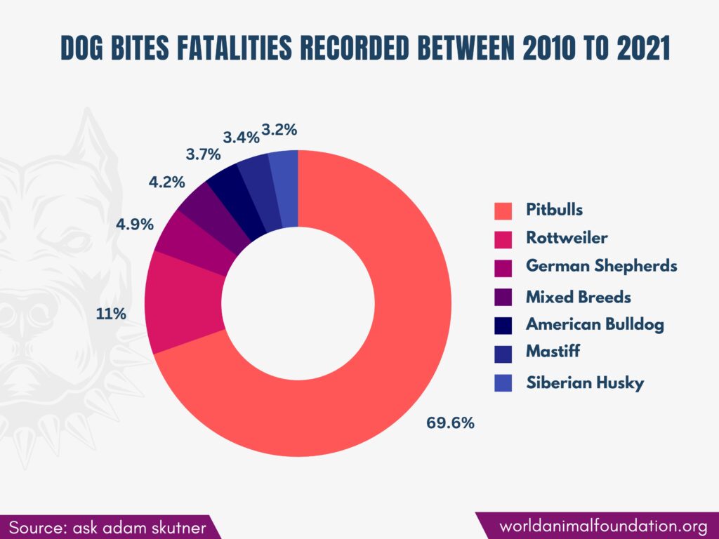 what breed of dog has attacked the most