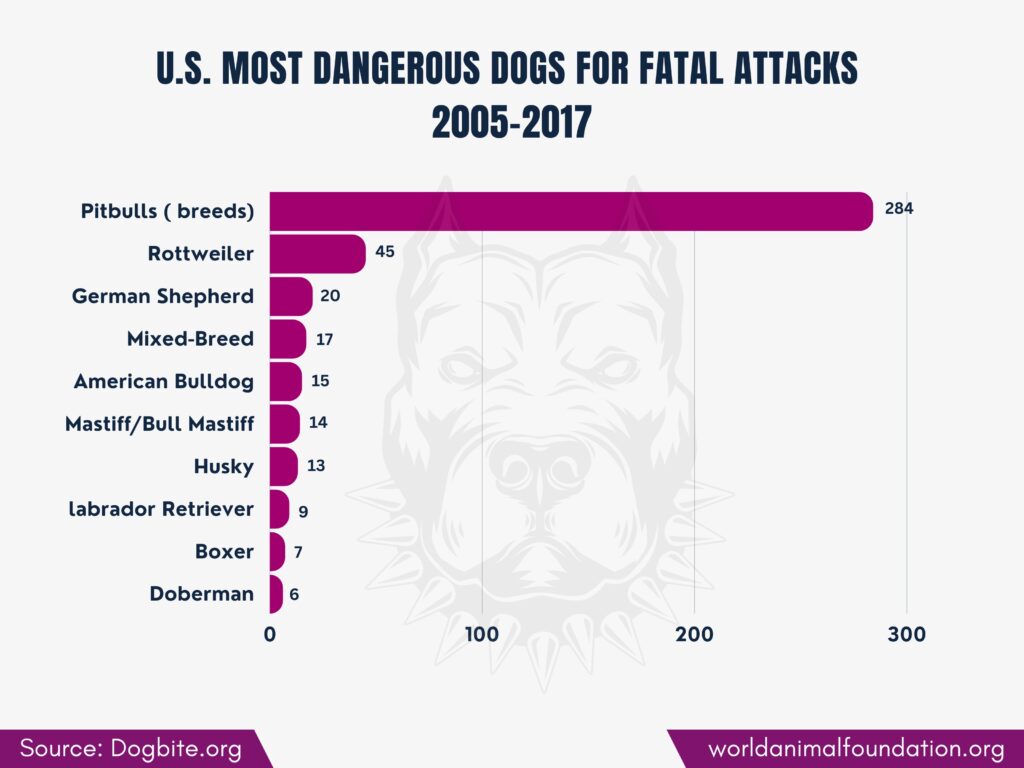 Dog Bite Statistics By Breed You Need To Know in 2023! - The