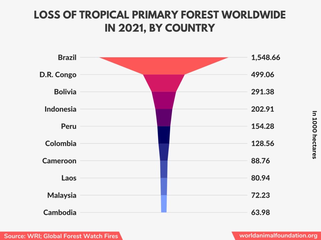 deforestation