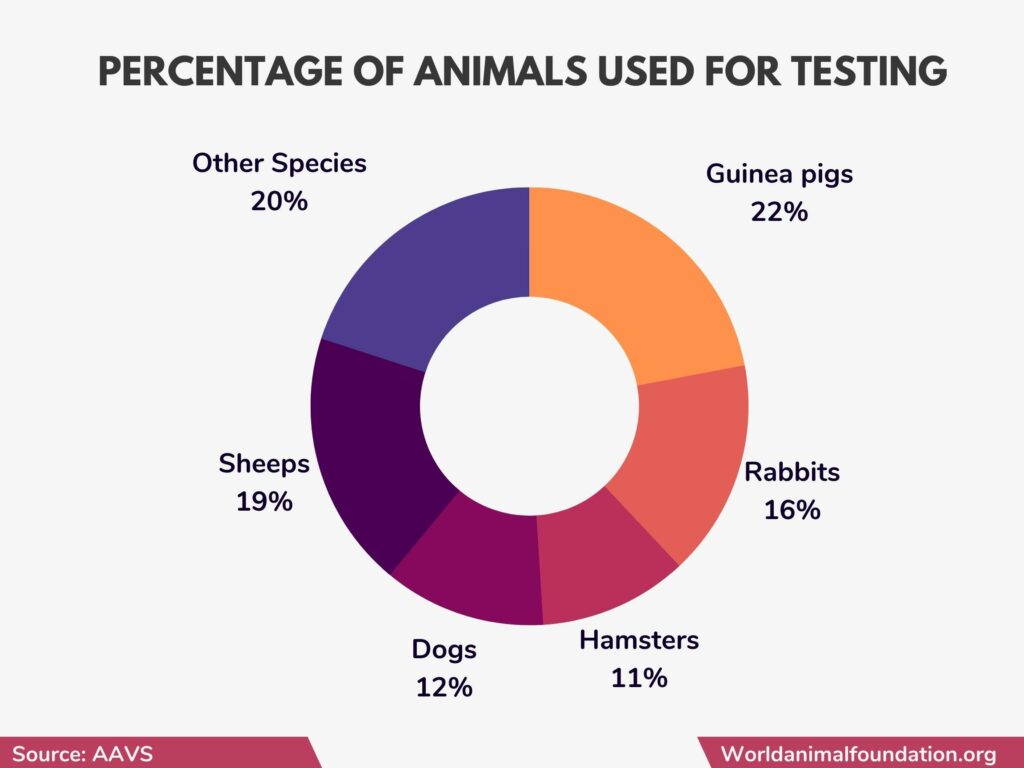 Animal Testing Statistics EyeOpening Facts You Must Know!