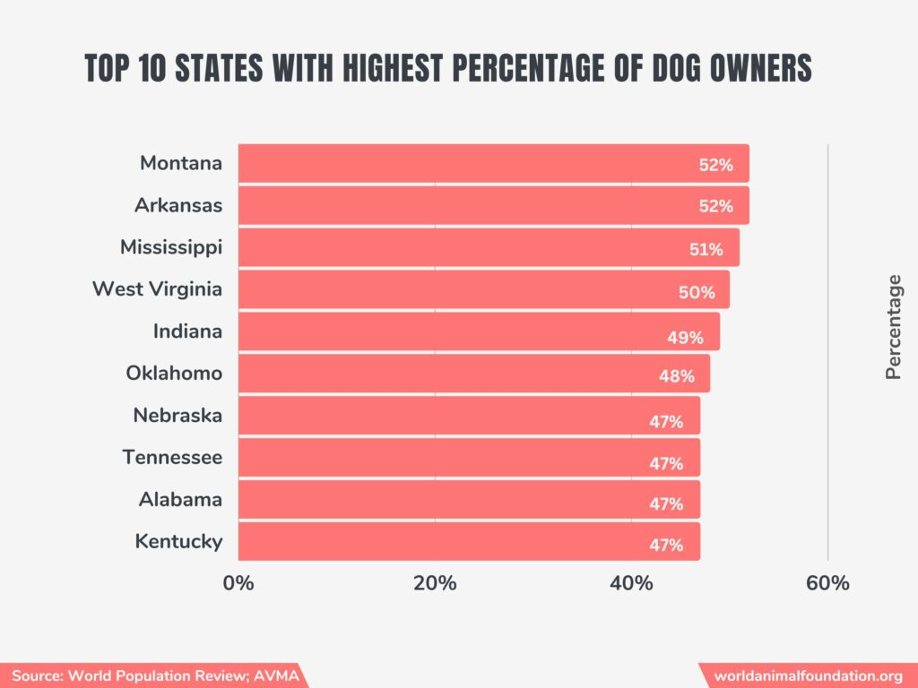 how many dogs are there in the us