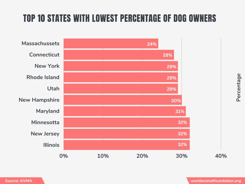 population of dogs