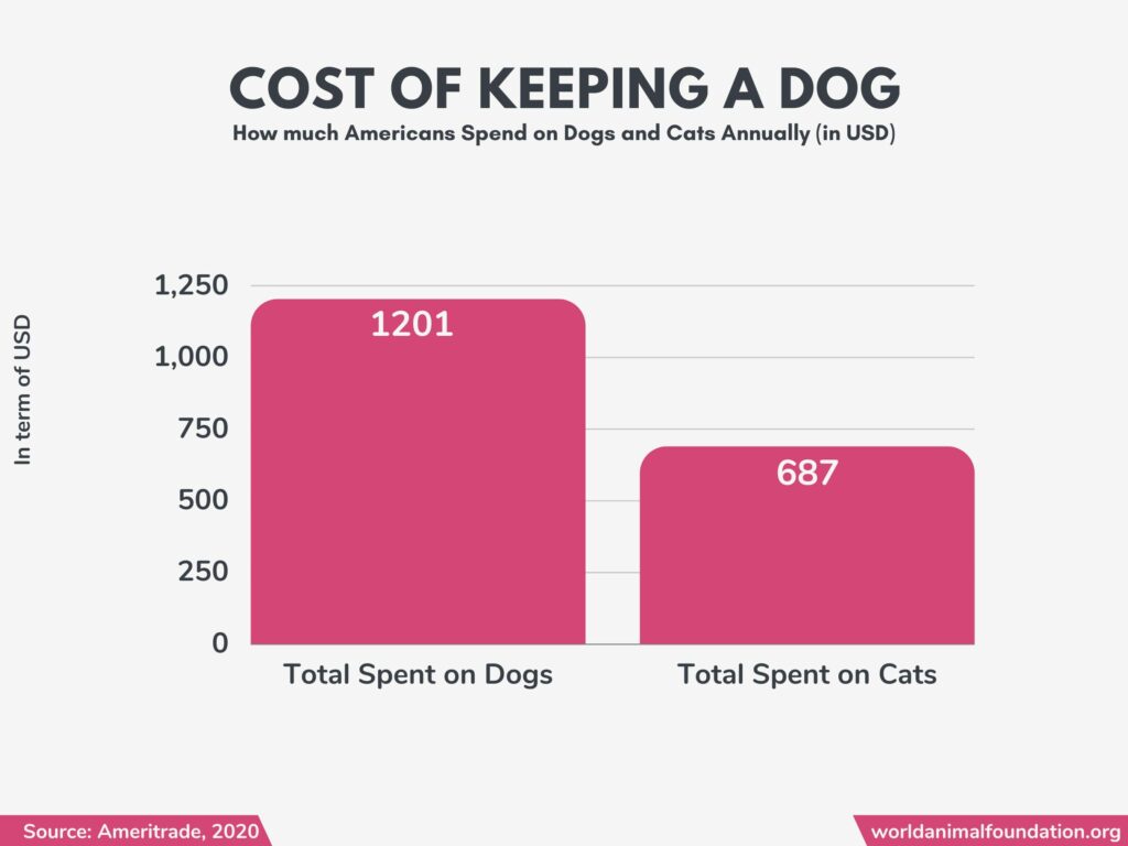 how many dogs are there in the us