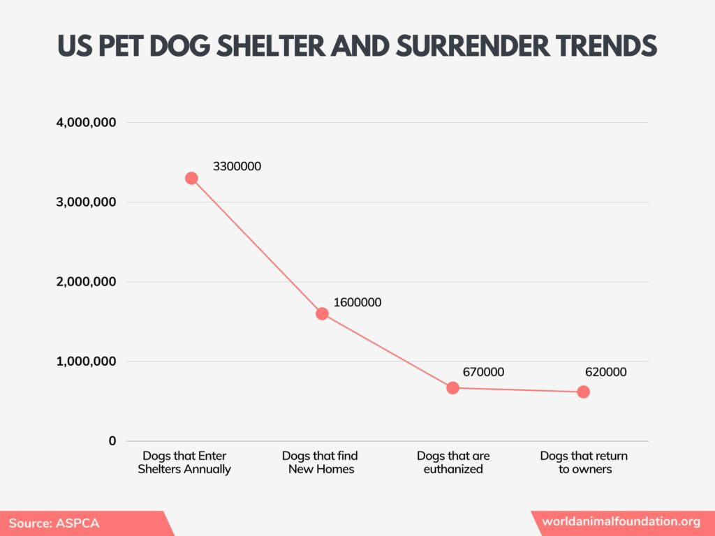 dogs in the US