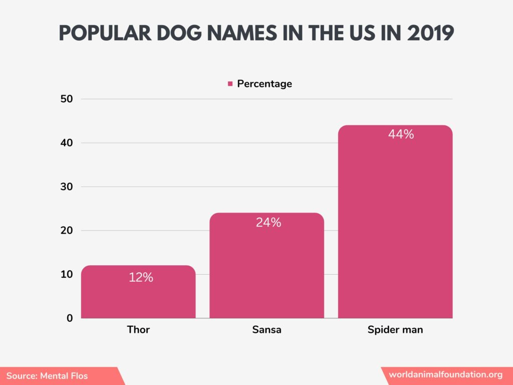 How Many Dogs Are There In The Us