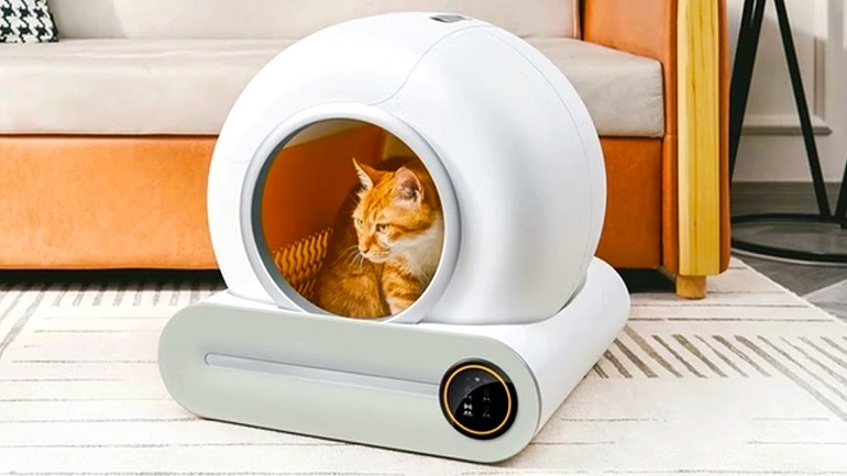 yearly cost of a cat