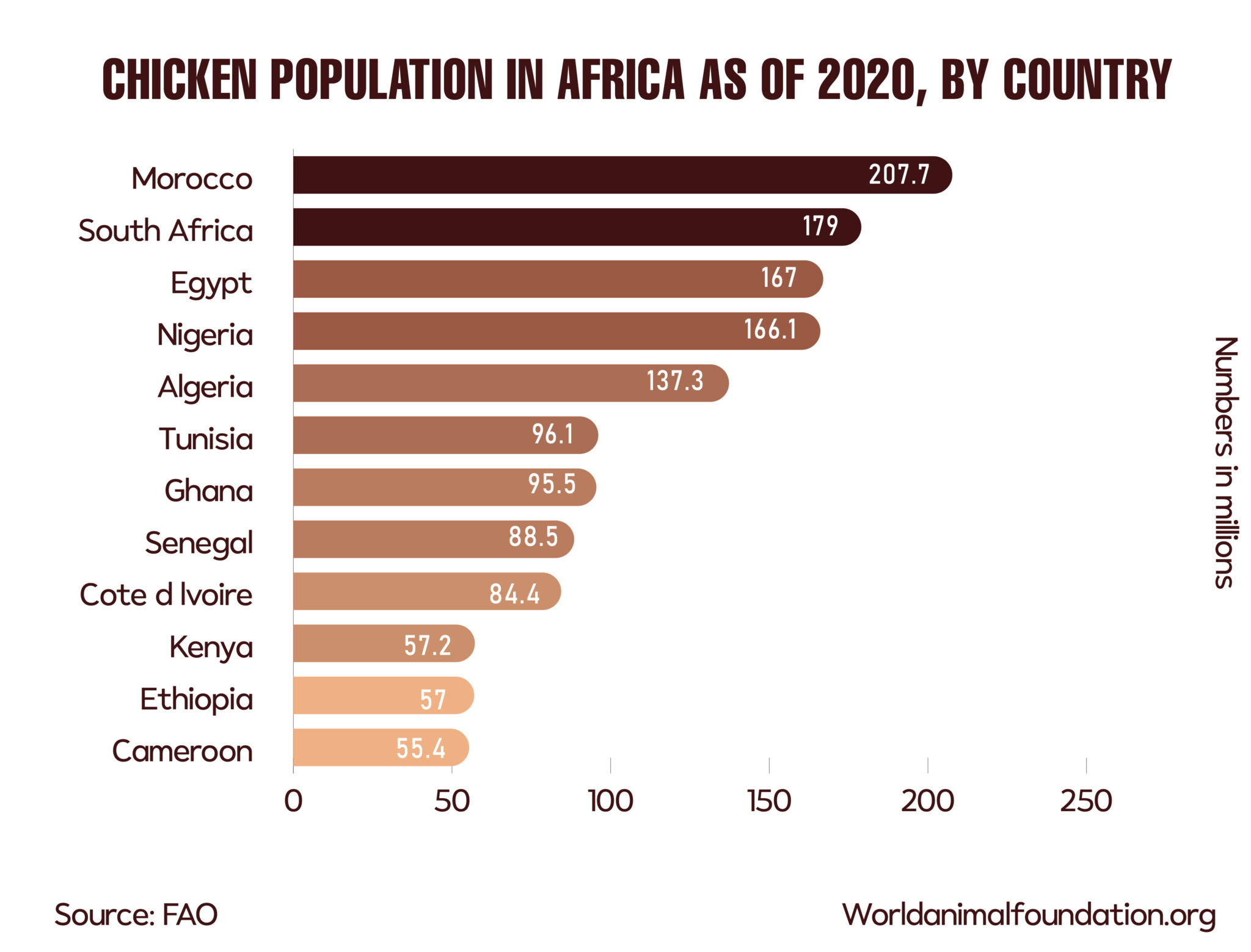 How Many Chickens Are In The World