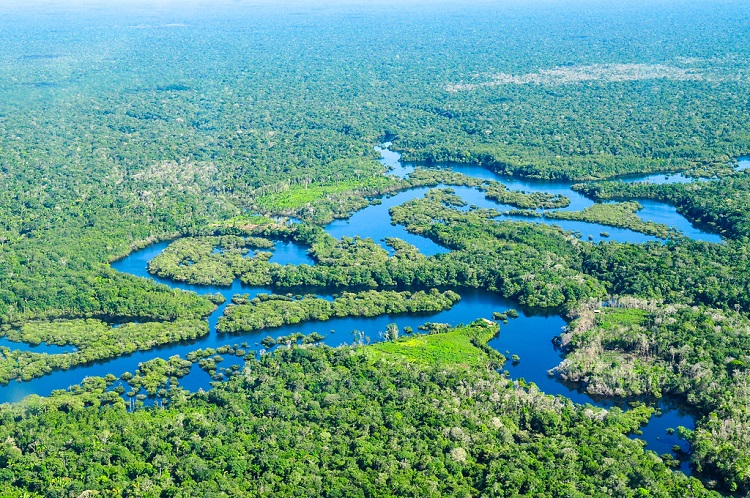 deforestation before and after