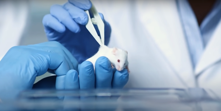 Cruelty Unmasked: Famous Brands That Test On Animals 2023