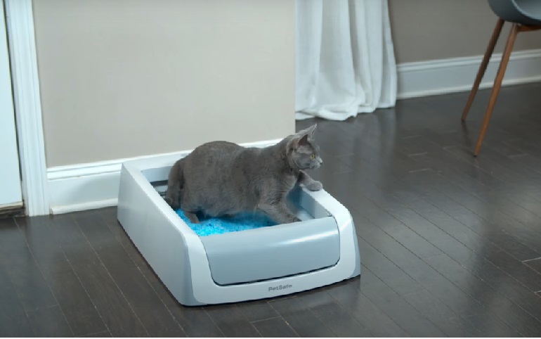 Ultra scoopfree litter box hot sale reviews