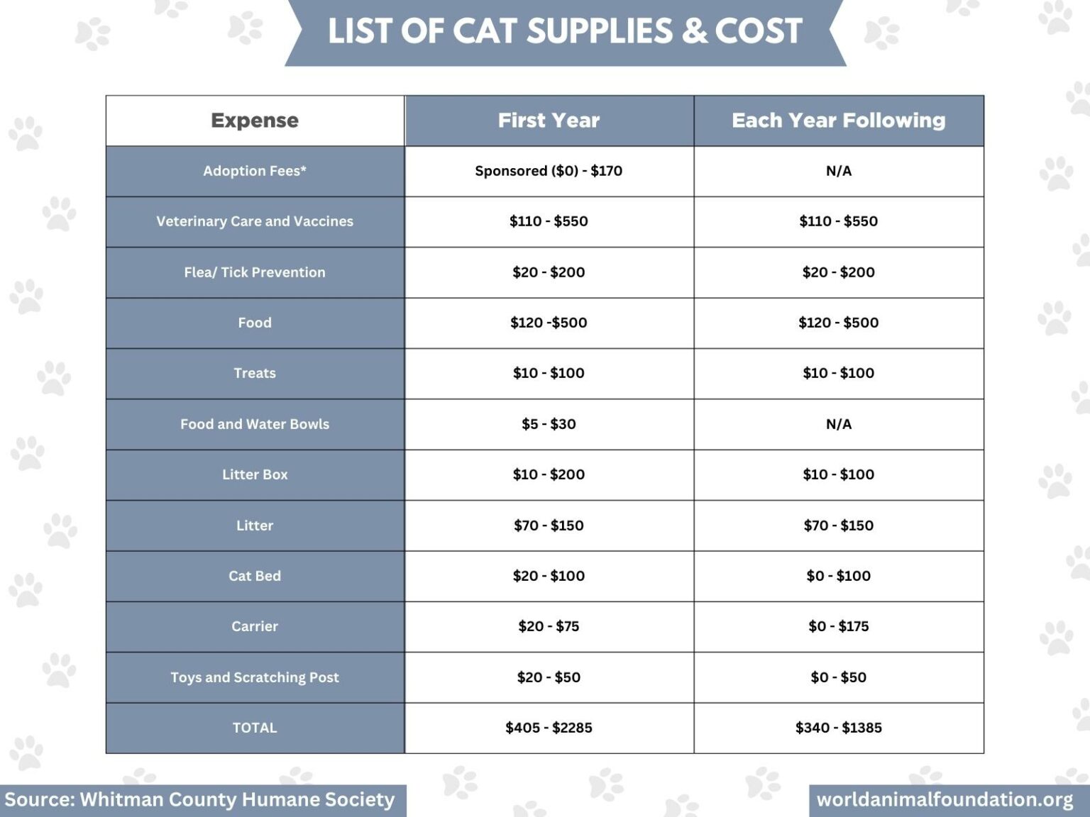 How Much Does a Cat Cost? Guide to Cat's Overall Expenses