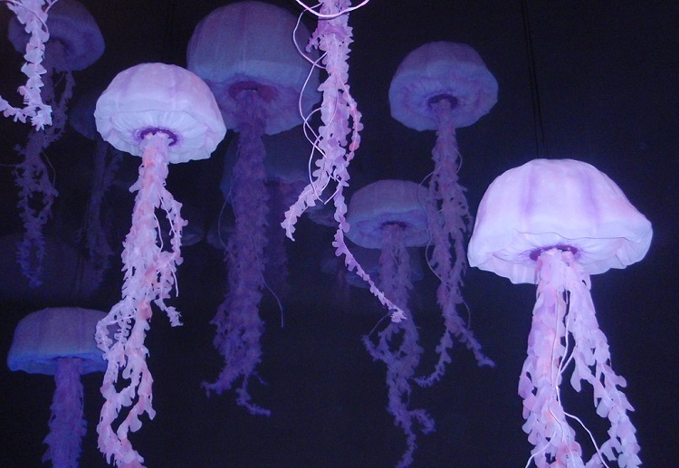 Fake Jellyfish