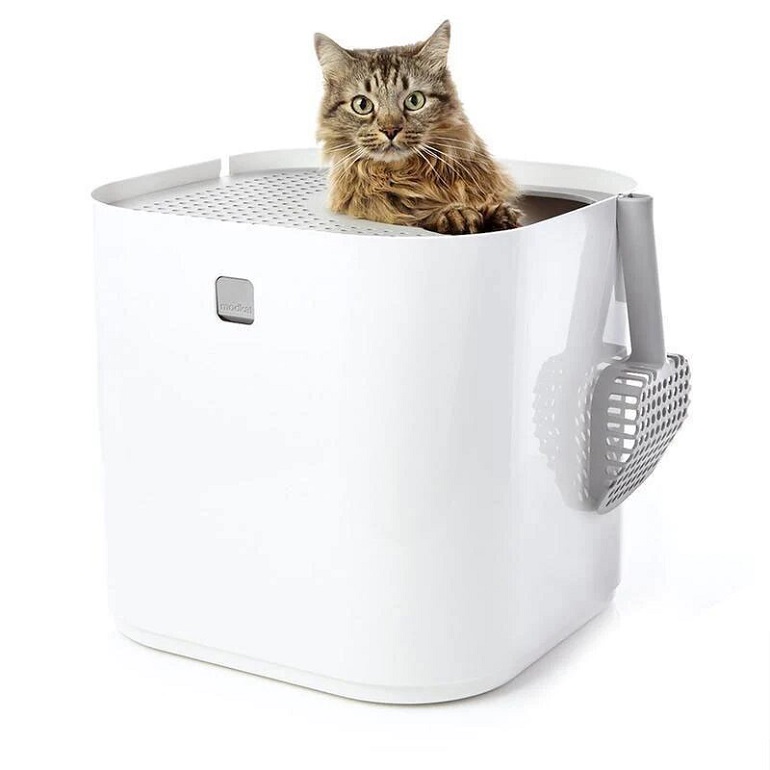 modkat litter box review
