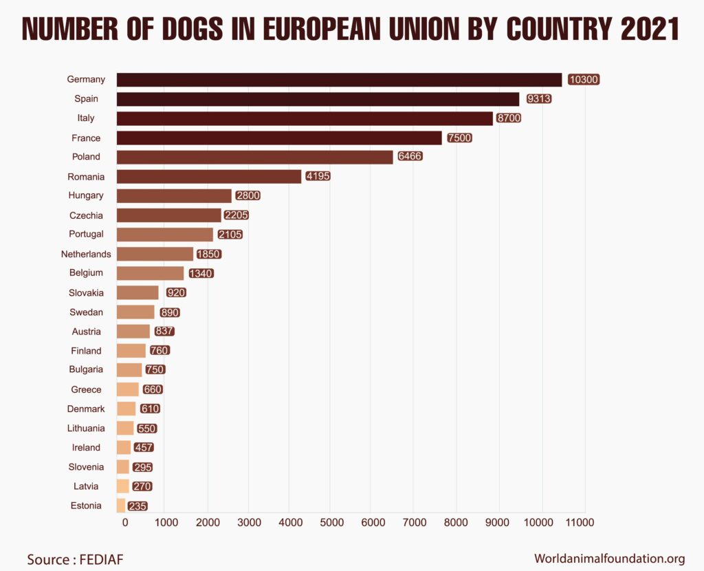 number of dogs in USA