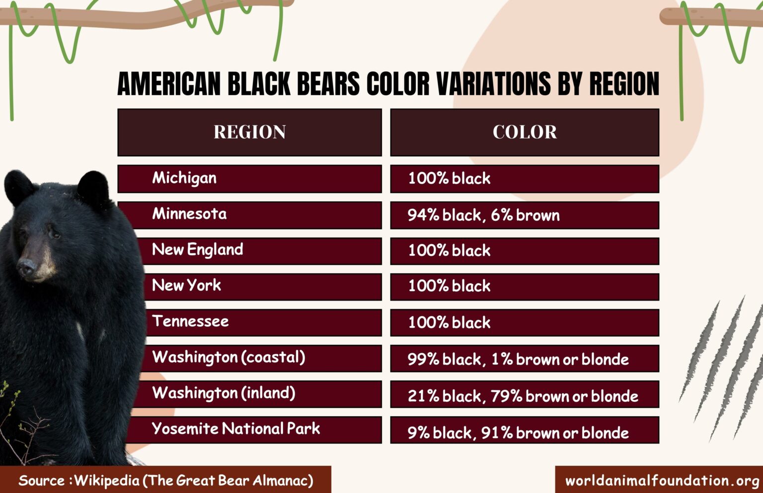 Black Bear - Classification, Behavior, Habitat, And More