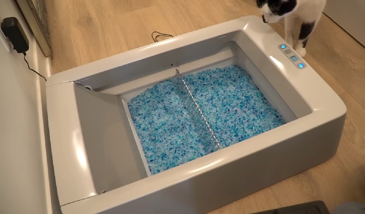 Self cleaning litter outlet box diy