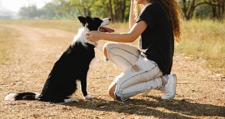 what do pet owners spend the most money on