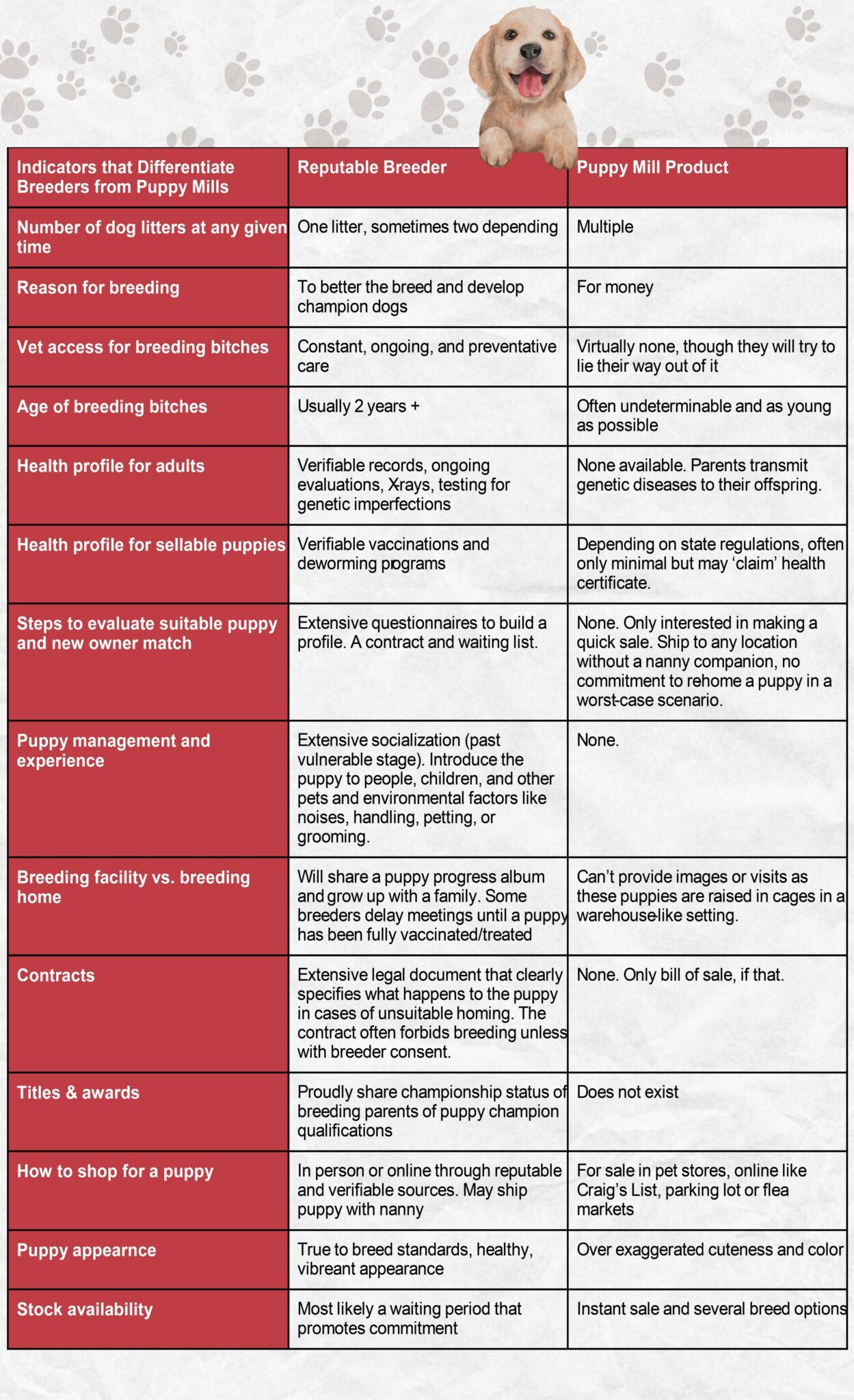 Puppy Mills Vs Breeders The High Cost Of Cheap Puppies!!