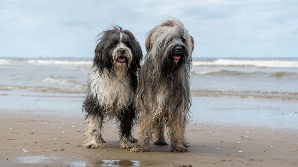 Relationship With Family