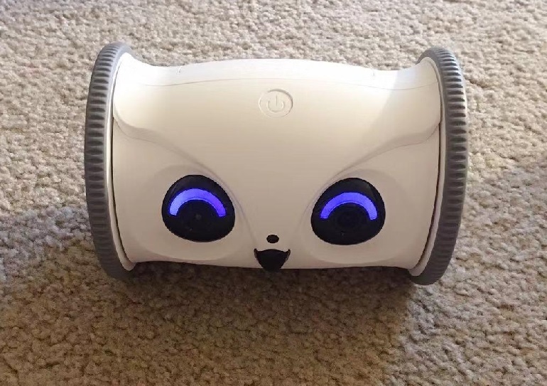 best pet camera for cats