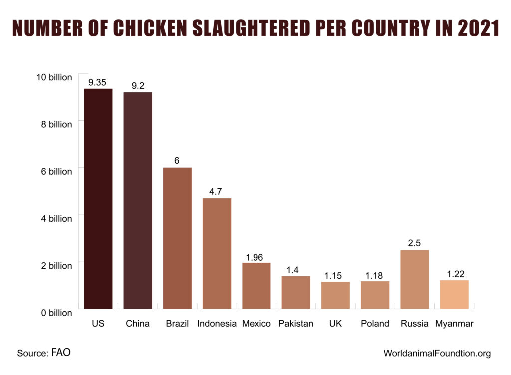 world population of chickens