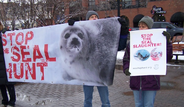 seal in canada