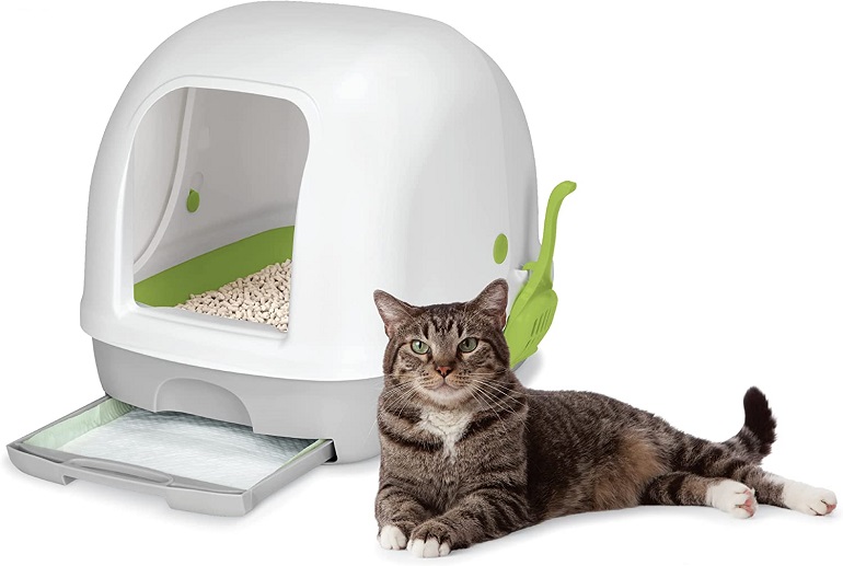 Cat litter box breeze sale