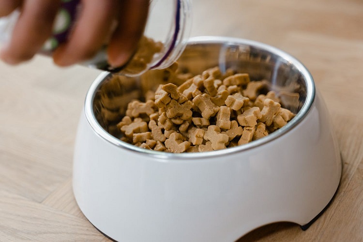 Top Pet Food Manufacturers And Companies In The World