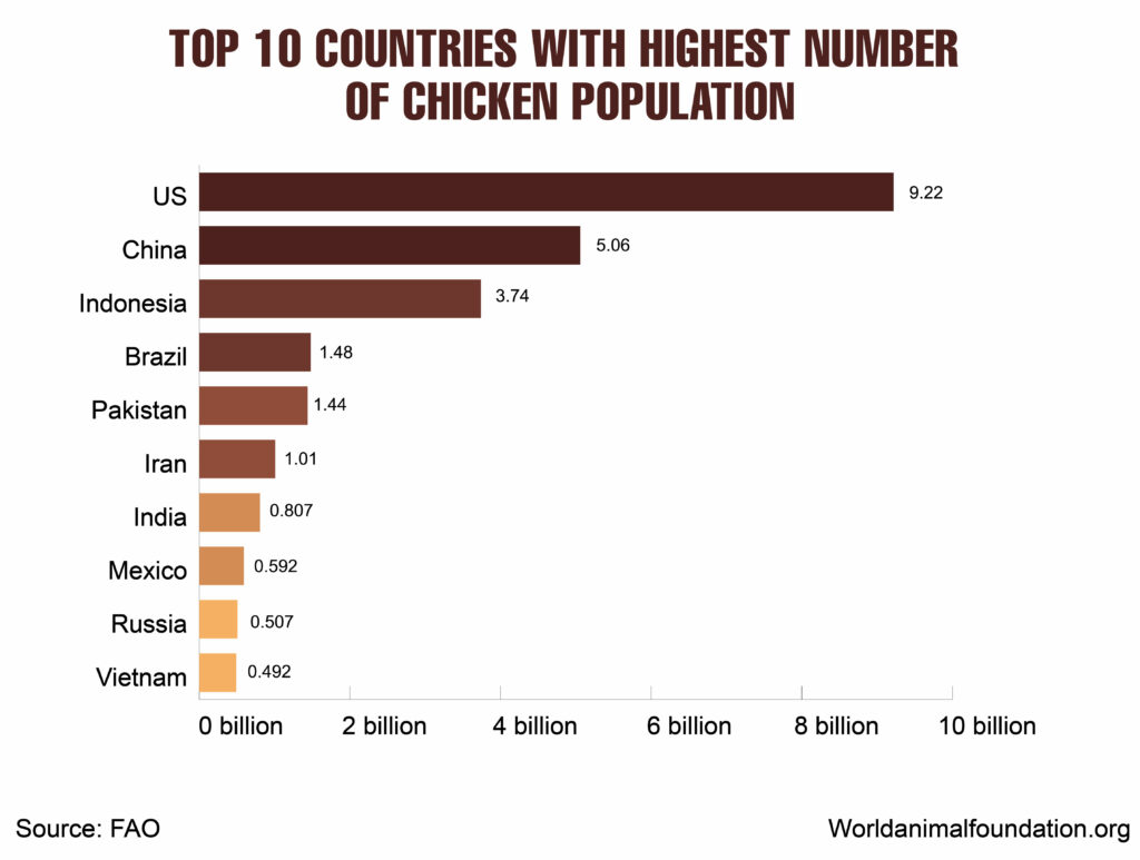 how  many chickens are there in the world