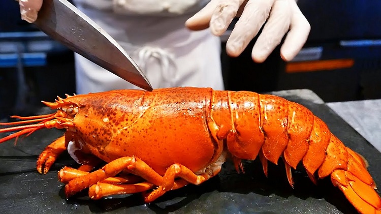 lobster breeds