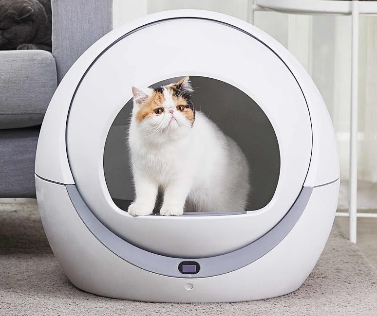 petree litter box review