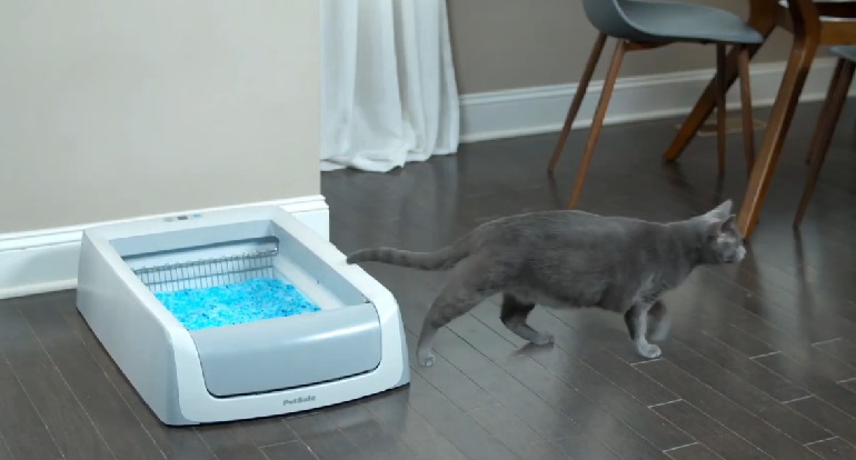 Petsafe automatic litter outlet box reviews